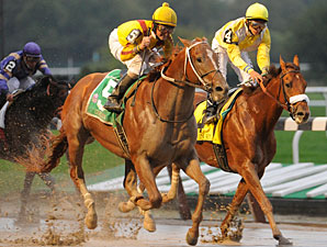 Curlin's Gold Cup Triumph Makes History Curlin's Gold Cup Triumph Makes History