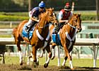 Curlin Works Toward Classic Start