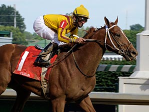 Curlin Repeats as Horse of the Year Curlin Repeats as Horse of the Year