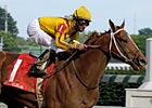 Curlin To Stand at Lane's End in 2009 Curlin To Stand at Lane's End in 2009