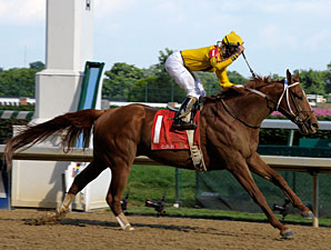 Stiff Test Set for Curlin in Turf Debut Stiff Test Set for Curlin in Turf Debut