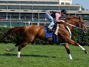 Curlin Headed to Belmont for Man o' War Curlin Headed to Belmont for Man o' War