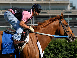 Judge Denies Motion to Sell Curlin Judge Denies Motion to Sell Curlin