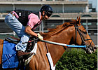 Judge Denies Motion to Sell Curlin