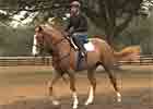 Video: Curlin's Two-Year-Olds in Action 