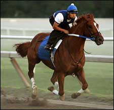 Seven Possible for $1-Million Haskell Invitational Seven Possible for $1-Million Haskell Invitational