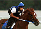 Seven Possible for $1-Million Haskell Invitational Seven Possible for $1-Million Haskell Invitational