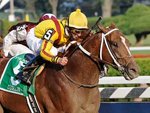 Curlin Headed to Jockey Club Gold Cup Curlin Headed to Jockey Club Gold Cup