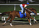 Curlin Posts Work at Fair Grounds