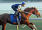 Curlin Works Five Furlongs at Saratoga