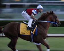 A Look at Derby Favorites Throughout History A Look at Derby Favorites Throughout History