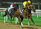 Curlin Romps in Dubai Curlin Romps in Dubai