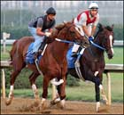 Curlin, Hard Spun Turn in Sharp Works for Haskell