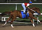Curlin, Pyro Impressive in Workouts Curlin, Pyro Impressive in Workouts