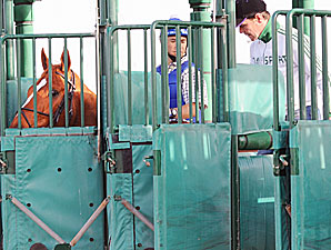 Curlin Faces Five in Dubai Curlin Faces Five in Dubai