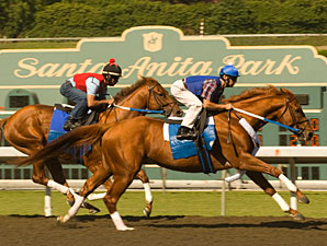 Asmussen Rules Out Curlin for Clark Asmussen Rules Out Curlin for Clark