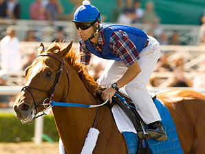 Receiver: Curlin Bids Will Go Forward Receiver: Curlin Bids Will Go Forward