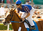 Receiver: Curlin Bids Will Go Forward Receiver: Curlin Bids Will Go Forward