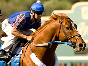 Motion Aims to Halt Curlin Sale Process Motion Aims to Halt Curlin Sale Process