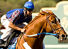 Motion Aims to Halt Curlin Sale Process