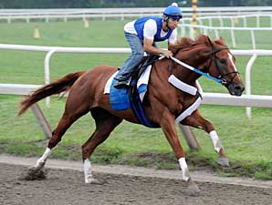 Curlin Works; Plans Still Undetermined Curlin Works; Plans Still Undetermined