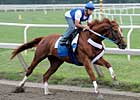 Curlin Works; Plans Still Undetermined