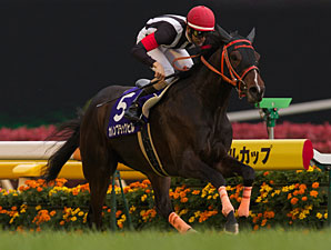 Curren Black Hill Dominates Japan's NHK Mile Curren Black Hill Dominates Japan's NHK Mile