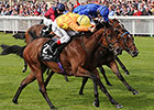 Cursory Glance, Gleneagles Win at Curragh Cursory Glance, Gleneagles Win at Curragh