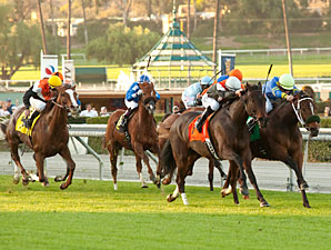 Customer Base Closes Deal for Frankel Victory Customer Base Closes Deal for Frankel Victory
