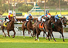 Customer Base Closes Deal for Frankel Victory Customer Base Closes Deal for Frankel Victory