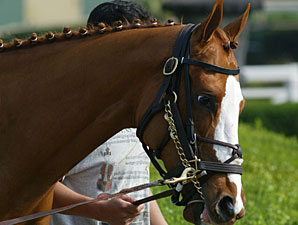 Cuvee's First Winner Comes at Lone Star Cuvee's First Winner Comes at Lone Star