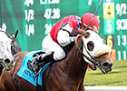 Cyber Secret to Stand at Journeyman Stud Cyber Secret to Stand at Journeyman Stud