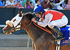 Cyber Secret's Win Streak on Line in Alysheba Cyber Secret's Win Streak on Line in Alysheba