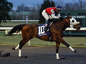 Cyber Secret Sets Turfway Mark in Stakes Win Cyber Secret Sets Turfway Mark in Stakes Win