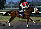 Cyber Secret Sets Turfway Mark in Stakes Win Cyber Secret Sets Turfway Mark in Stakes Win
