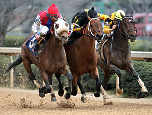 Cyber Secret Wins Razorback By Thin Margin Cyber Secret Wins Razorback By Thin Margin