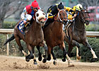 Cyber Secret Wins Razorback By Thin Margin Cyber Secret Wins Razorback By Thin Margin