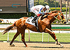 Cyclometer Wins Scratch-Marred Los Angeles Cyclometer Wins Scratch-Marred Los Angeles