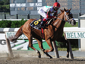 Dutrow Brothers Have Edge in Hutcheson