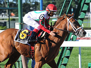 D' Funnybone Being Pointed to Preakness D' Funnybone Being Pointed to Preakness