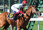 D' Funnybone Being Pointed to Preakness D' Funnybone Being Pointed to Preakness