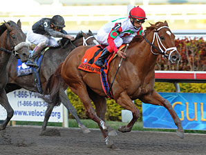 Four Dutrow Horses Work at Saratoga Aug. 11 Four Dutrow Horses Work at Saratoga Aug. 11