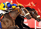 Dubai World Cup Day 