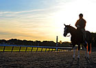 Slideshow: 2013 Belmont Stakes Week Slideshow: 2013 Belmont Stakes Week
