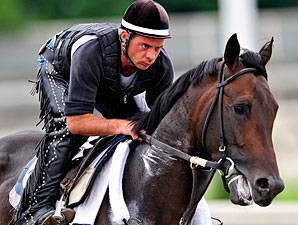 Belmont Winner Da' Tara in Light Training Belmont Winner Da' Tara in Light Training