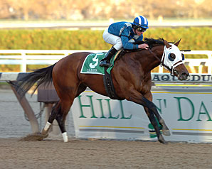 Daaher Beats 'Lute' in Cigar Mile Daaher Beats 'Lute' in Cigar Mile