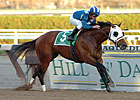 Daaher Retired, to Stand at Nashwan Stud Daaher Retired, to Stand at Nashwan Stud