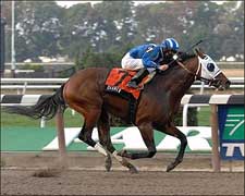 Daaher Conquers Jerome Handicap With Ease Daaher Conquers Jerome Handicap With Ease