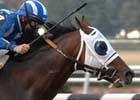 Daaher Conquers Jerome Handicap With Ease Daaher Conquers Jerome Handicap With Ease