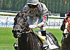 French Champion Dabirsim to Stand in Germany French Champion Dabirsim to Stand in Germany